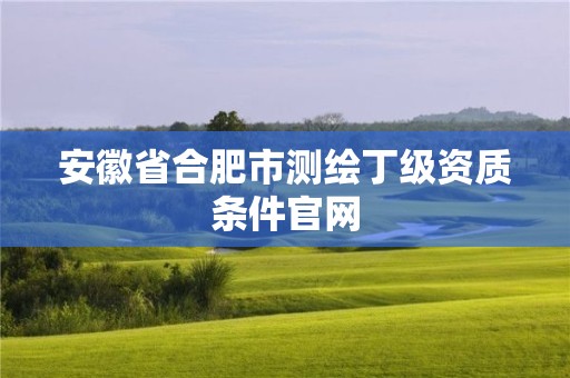 安徽省合肥市測繪丁級資質(zhì)條件官網(wǎng)