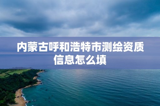 內蒙古呼和浩特市測繪資質信息怎么填