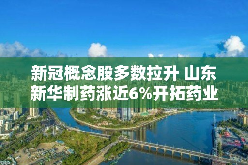 新冠概念股多數拉升 山東新華制藥漲近6%開拓藥業-B漲超4%