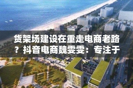 貨架場建設在重走電商老路？抖音電商魏雯雯：專注于自己的業務模式發展