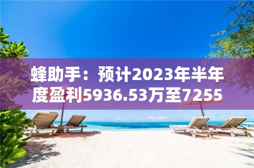 蜂助手：預計2023年半年度盈利5936.53萬至7255.75萬 凈利潤同比增長15.63%至41.32%