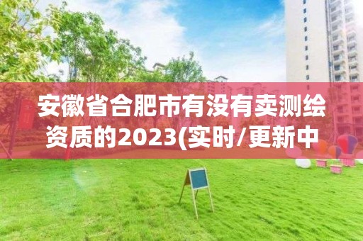 安徽省合肥市有沒(méi)有賣測(cè)繪資質(zhì)的2023(實(shí)時(shí)/更新中)