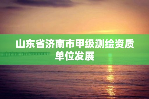 山東省濟(jì)南市甲級測繪資質(zhì)單位發(fā)展