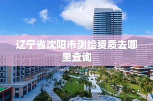 遼寧省沈陽市測繪資質去哪里查詢