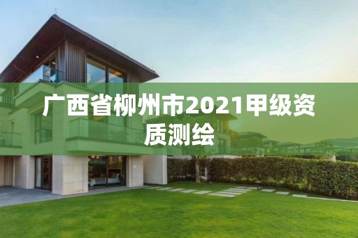 廣西省柳州市2021甲級資質測繪