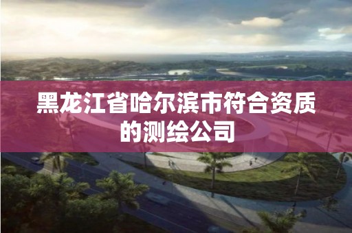 黑龍江省哈爾濱市符合資質(zhì)的測繪公司