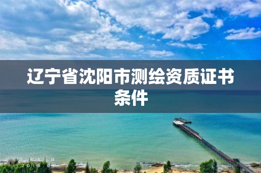 遼寧省沈陽市測繪資質證書條件