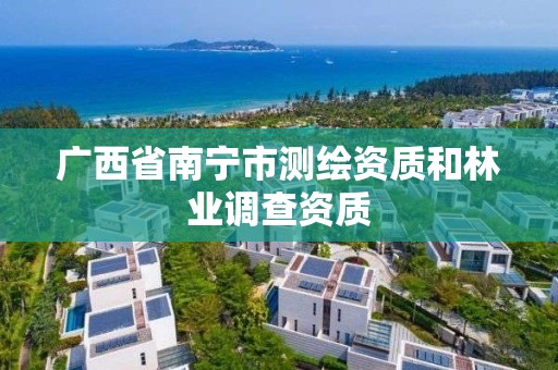 廣西省南寧市測繪資質和林業調查資質