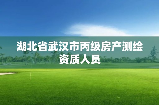 湖北省武漢市丙級房產測繪資質人員