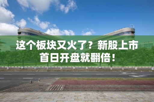 這個板塊又火了？新股上市首日開盤就翻倍！