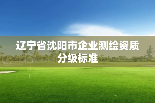 遼寧省沈陽市企業(yè)測繪資質(zhì)分級標(biāo)準(zhǔn)