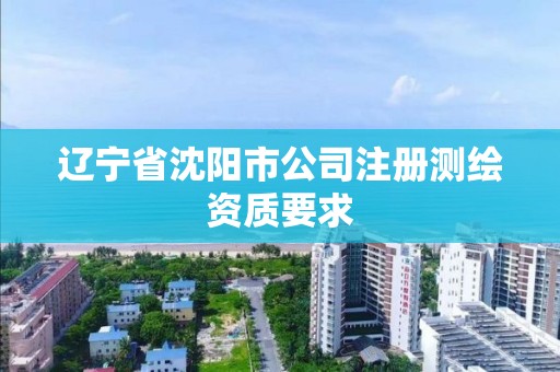 遼寧省沈陽市公司注冊測繪資質(zhì)要求