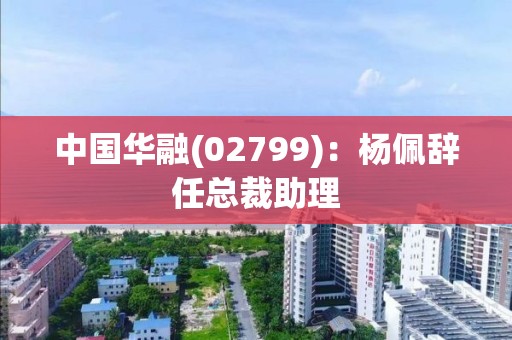 中國華融(02799)：楊佩辭任總裁助理