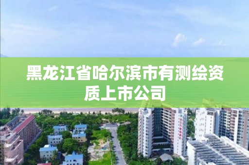 黑龍江省哈爾濱市有測繪資質上市公司