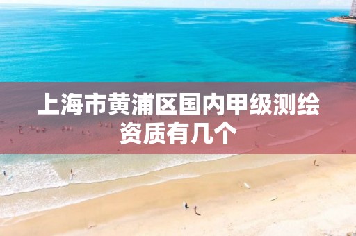 上海市黃浦區國內甲級測繪資質有幾個