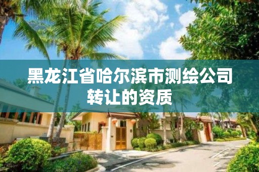 黑龍江省哈爾濱市測繪公司轉讓的資質