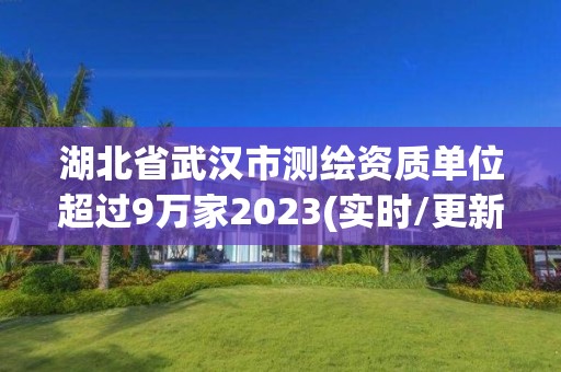 湖北省武漢市測繪資質單位超過9萬家2023(實時/更新中)