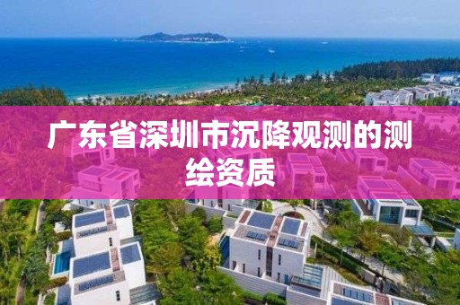 廣東省深圳市沉降觀測的測繪資質