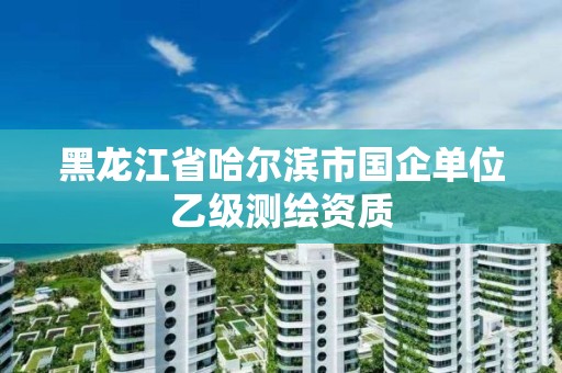 黑龍江省哈爾濱市國企單位乙級測繪資質