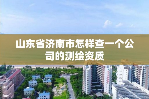 山東省濟南市怎樣查一個公司的測繪資質