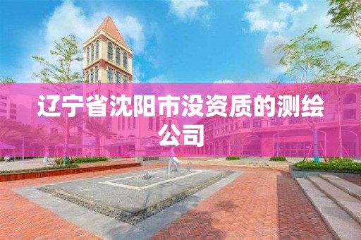 遼寧省沈陽市沒資質的測繪公司