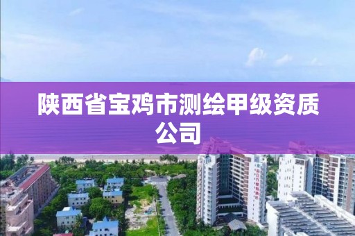 陜西省寶雞市測繪甲級資質公司