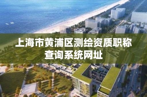 上海市黃浦區測繪資質職稱查詢系統網址