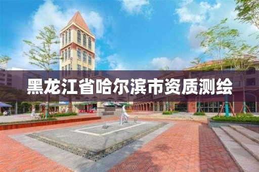 黑龍江省哈爾濱市資質測繪