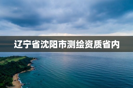 遼寧省沈陽市測繪資質省內