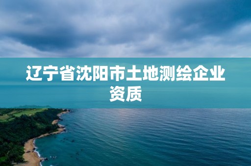 遼寧省沈陽市土地測繪企業資質