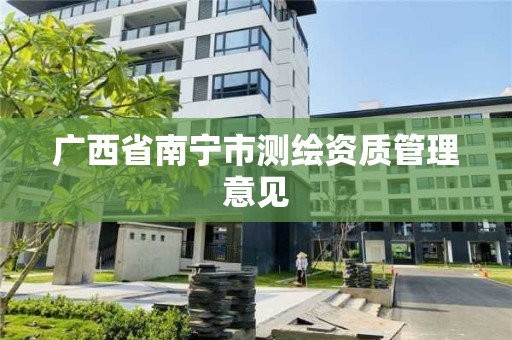 廣西省南寧市測繪資質管理意見