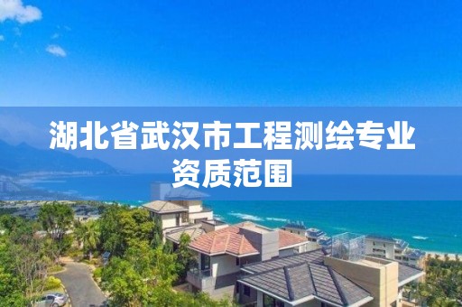 湖北省武漢市工程測繪專業資質范圍