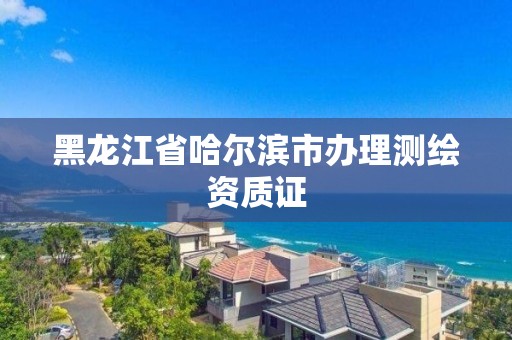 黑龍江省哈爾濱市辦理測繪資質(zhì)證