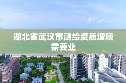 湖北省武漢市測繪資質增項需要業