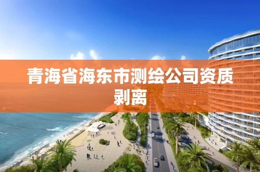 青海省海東市測繪公司資質剝離