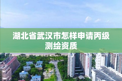 湖北省武漢市怎樣申請丙級測繪資質