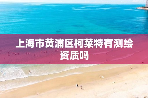 上海市黃浦區柯萊特有測繪資質嗎