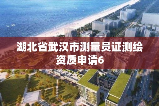 湖北省武漢市測量員證測繪資質申請6