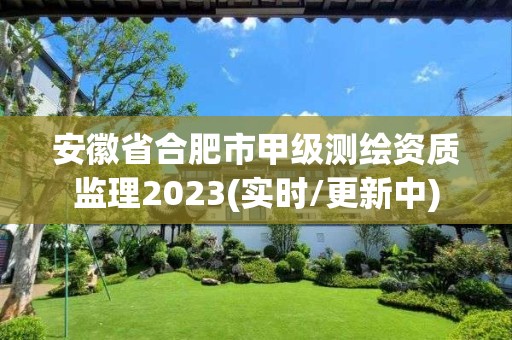 安徽省合肥市甲級測繪資質監理2023(實時/更新中)