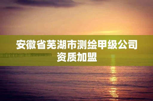 安徽省蕪湖市測繪甲級公司資質加盟