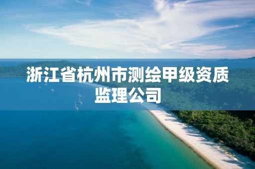 浙江省杭州市測繪甲級資質監理公司