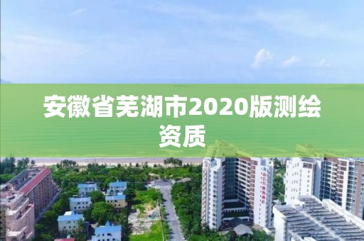 安徽省蕪湖市2020版測繪資質