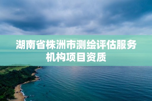 湖南省株洲市測繪評估服務機構項目資質