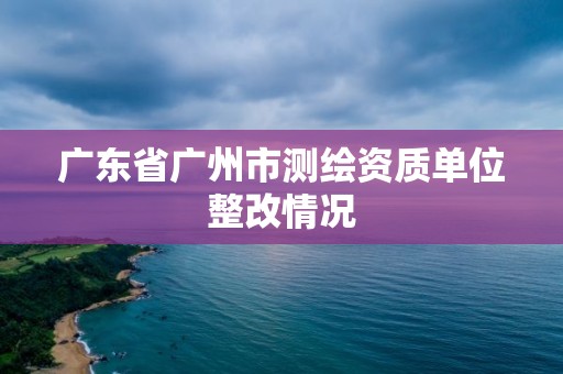 廣東省廣州市測繪資質單位整改情況