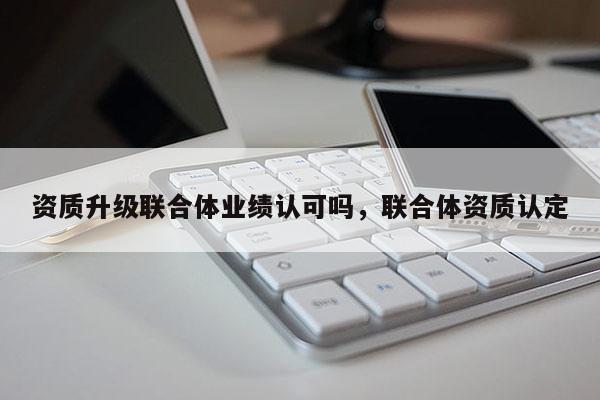 資質升級聯合體業績認可嗎，聯合體資質認定