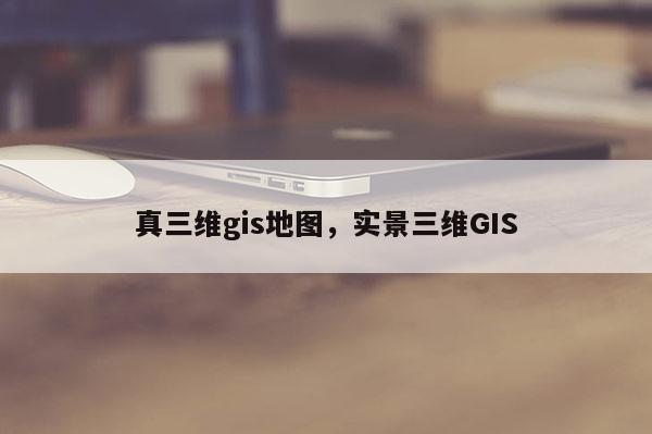 真三維gis地圖，實景三維GIS