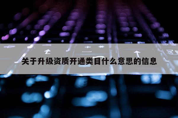 關于升級資質開通類目什么意思的信息