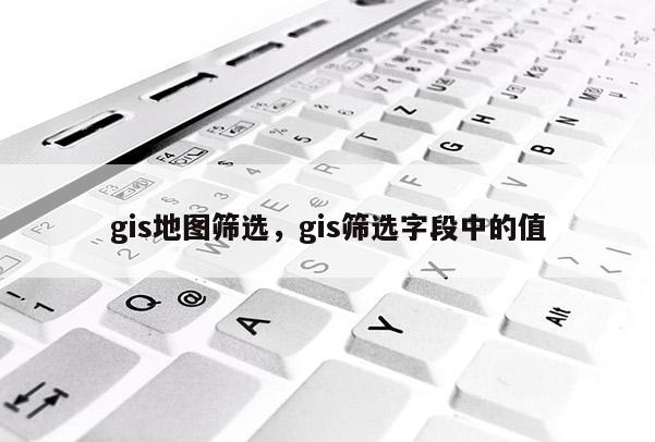 gis地圖篩選，gis篩選字段中的值