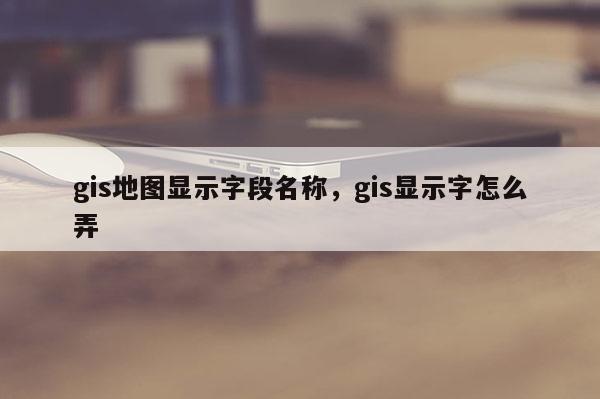 gis地圖顯示字段名稱，gis顯示字怎么弄