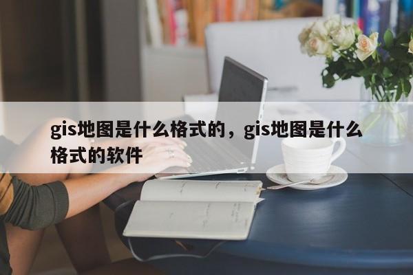 gis地圖是什么格式的，gis地圖是什么格式的軟件